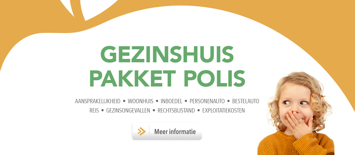 Gezinshuispakketpolis